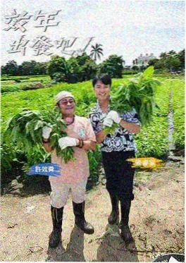 声音的褶皱 泡泡影视音乐竞技综艺